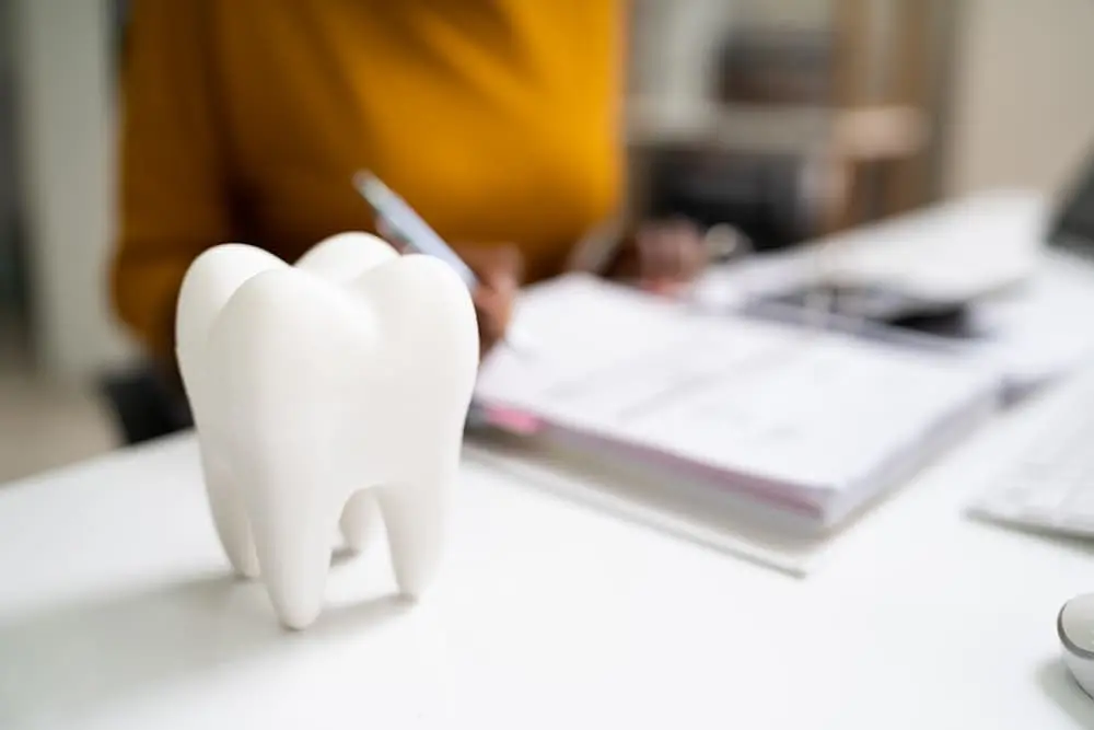 A large tooth model on a desk in the foreground. In the blurred background, a person is writing on a notepad while sitting at a desk. illustrating herbst appliances from an orthodontist in Sammamish or Kent, WA.